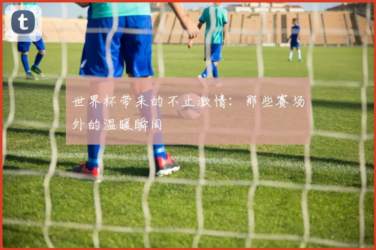 世界杯带来的不止激情:那些赛场外的温暖瞬间