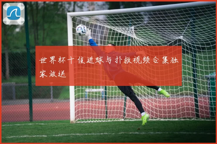 世界杯十佳进球与扑救视频合集独家放送
