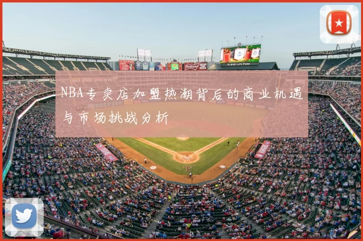 NBA专卖店加盟热潮背后的商业机遇与市场挑战分析