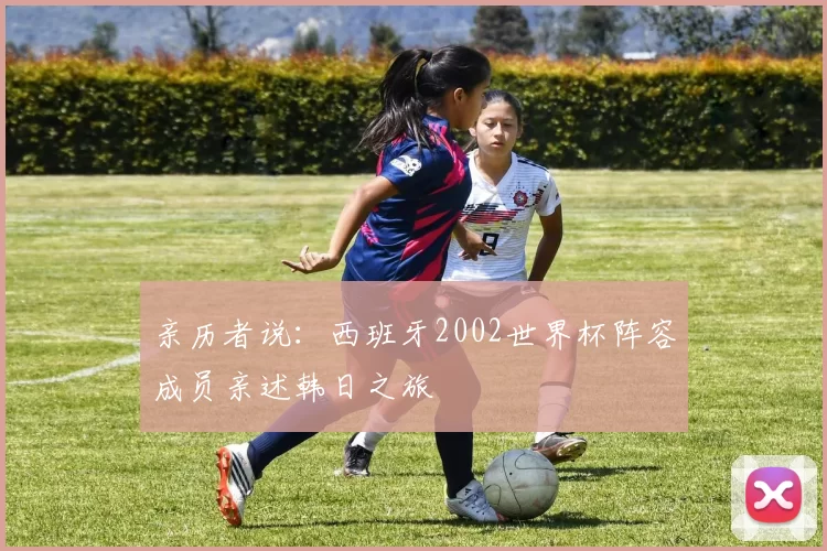 亲历者说：西班牙2002世界杯阵容成员亲述韩日之旅