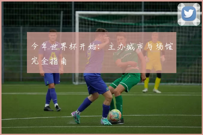 今年世界杯开始:主办城市与场馆完全指南