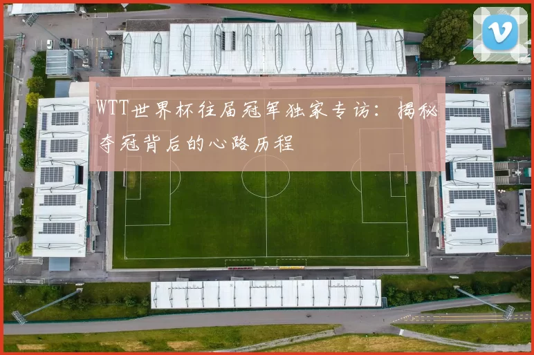 WTT世界杯往届冠军独家专访:揭秘夺冠背后的心路历程