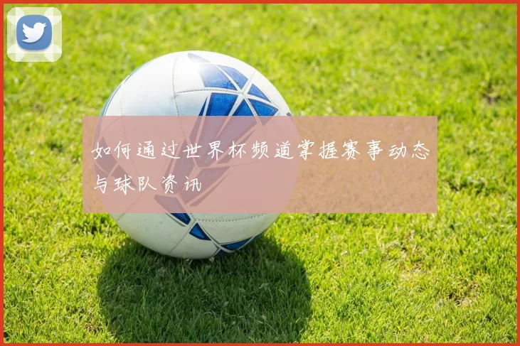 如何通过世界杯频道掌握赛事动态与球队资讯
