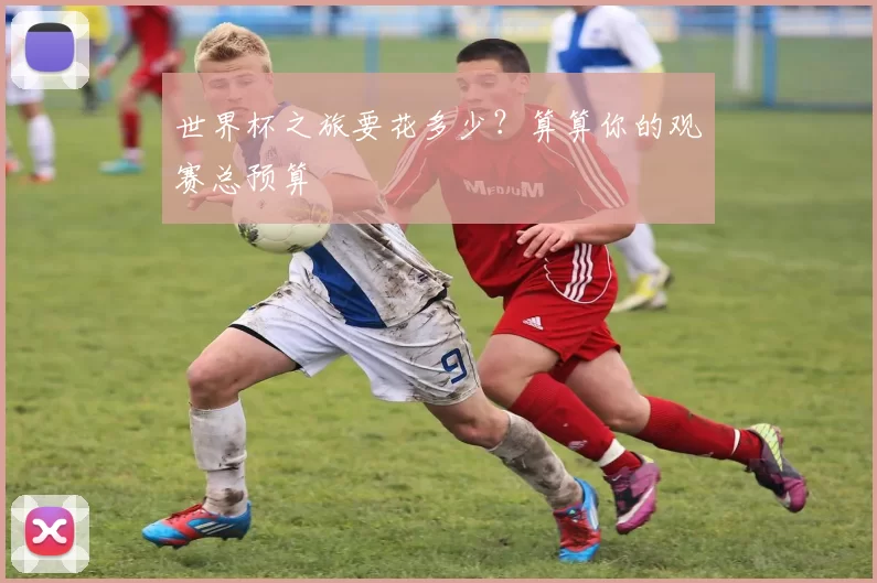 世界杯之旅要花多少?算算你的观赛总预算