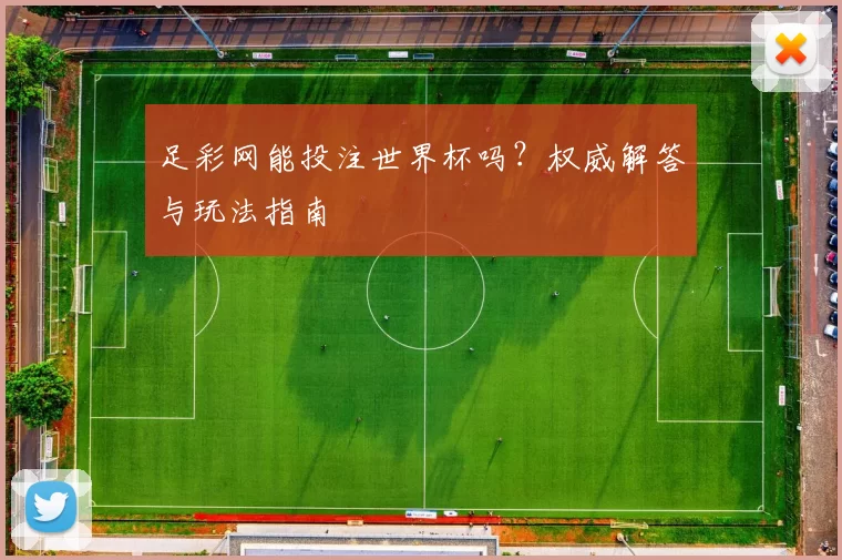 足彩网能投注世界杯吗?权威解答与玩法指南
